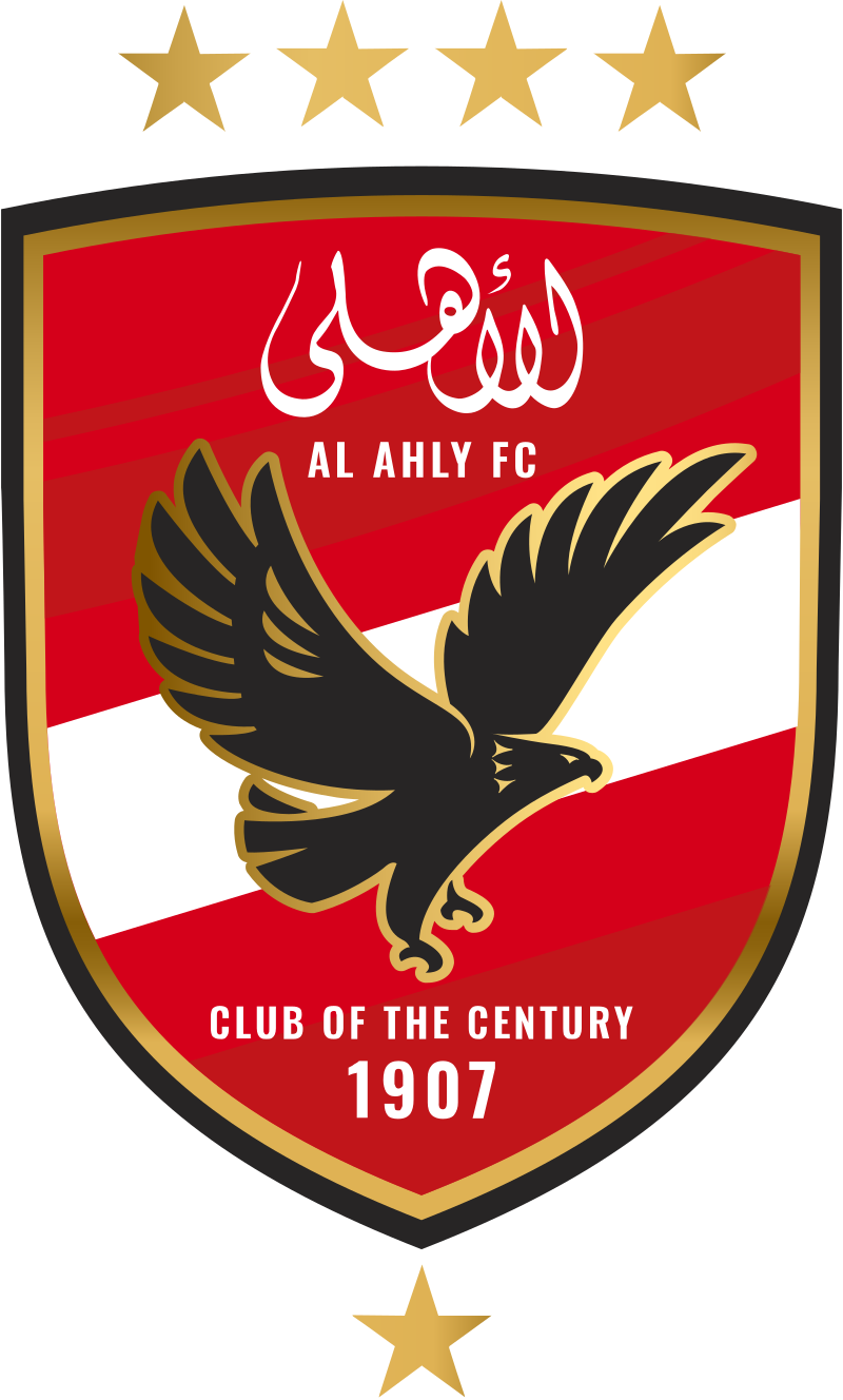 الأهلي 2008