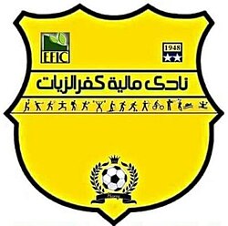 مالية كفر الزيات 2007