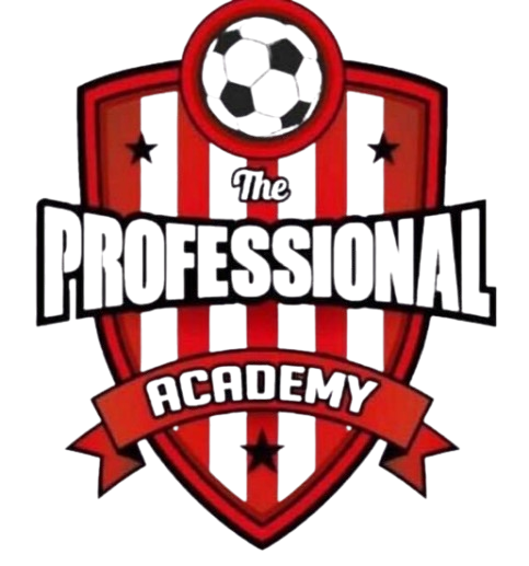 أكاديمية بروفيشنال